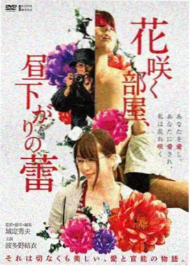 韩剧tv治愈电影海边的邮局海报封面